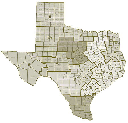 Texas Land Grid Data GIS